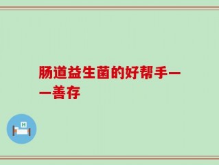 肠道益生菌的好帮手——善存