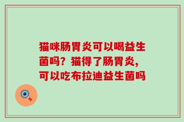 猫咪肠可以喝益生菌吗?猫得了肠,可以吃布拉迪益生菌吗 猫咪肠可以喝益生菌吗?猫得了肠,可以吃布拉迪益生菌吗