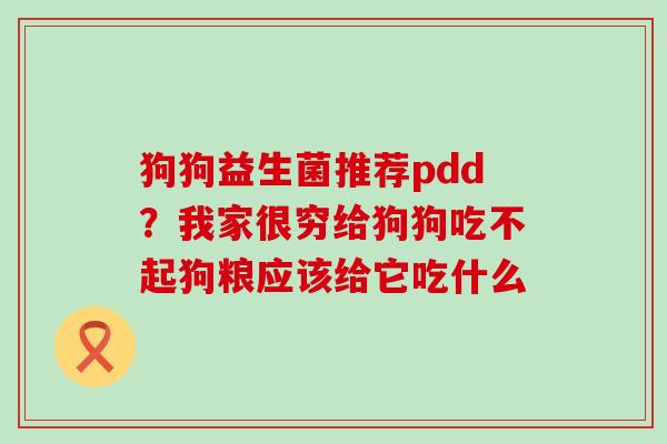 狗狗益生菌推荐pdd?我家很穷给狗狗吃不起狗粮应该给它吃什么 狗狗益生菌推荐pdd?我家很穷给狗狗吃不起狗粮应该给它吃什么