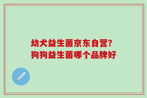 幼犬益生菌京东自营?狗狗益生菌哪个品牌好 幼犬益生菌京东自营?狗狗益生菌哪个品牌好
