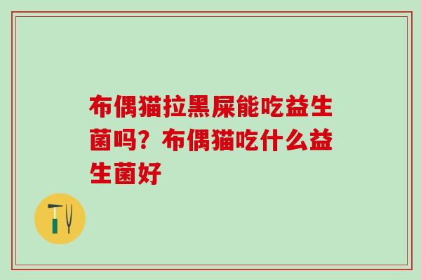 布偶猫拉黑屎能吃益生菌吗?布偶猫吃什么益生菌好 布偶猫拉黑屎能吃益生菌吗?布偶猫吃什么益生菌好