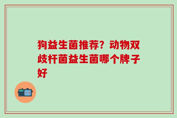 狗益生菌推荐?动物双歧杆菌益生菌哪个牌子好 狗益生菌推荐?动物双歧杆菌益生菌哪个牌子好