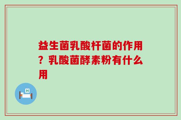 益生菌乳酸杆菌的作用?乳酸菌酵素粉有什么用 益生菌乳酸杆菌的作用?乳酸菌酵素粉有什么用