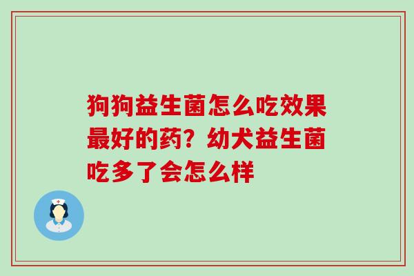 狗狗益生菌怎么吃效果好的药？幼犬益生菌吃多了会怎么样