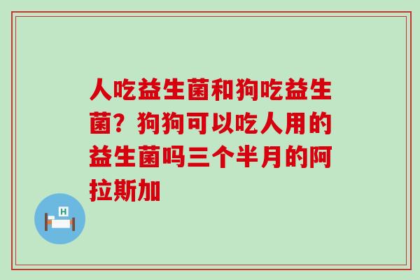 人吃益生菌和狗吃益生菌？狗狗可以吃人用的益生菌吗三个半月的阿拉斯加