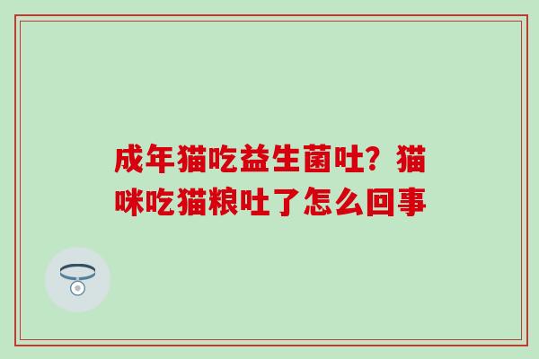 成年猫吃益生菌吐?猫咪吃猫粮吐了怎么回事 成年猫吃益生菌吐?猫咪吃猫粮吐了怎么回事