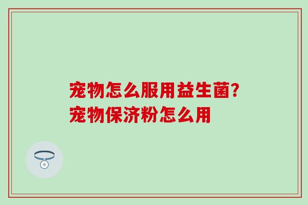 宠物怎么服用益生菌?宠物保济粉怎么用 宠物怎么服用益生菌?宠物保济粉怎么用