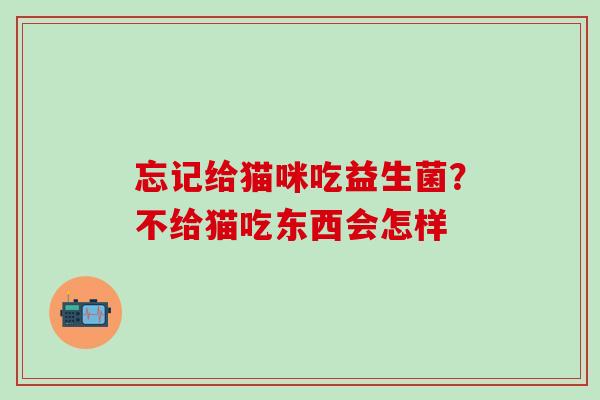 忘记给猫咪吃益生菌?不给猫吃东西会怎样 忘记给猫咪吃益生菌?不给猫吃东西会怎样