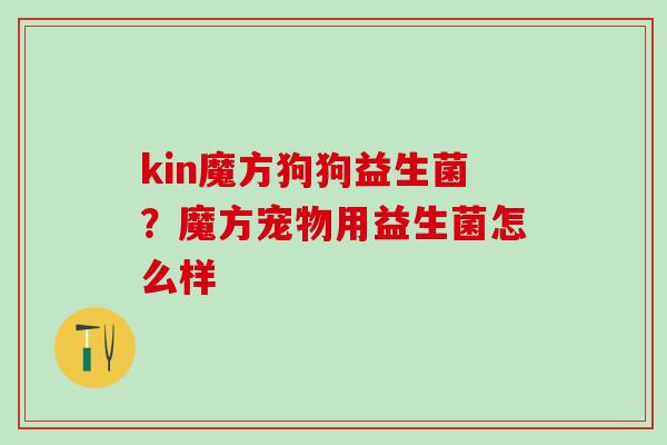 kin魔方狗狗益生菌？魔方宠物用益生菌怎么样