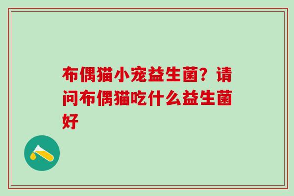 布偶猫小宠益生菌？请问布偶猫吃什么益生菌好