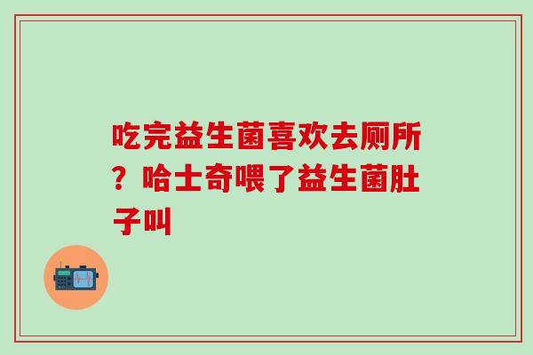 吃完益生菌喜欢去厕所?哈士奇喂了益生菌肚子叫 吃完益生菌喜欢去厕所?哈士奇喂了益生菌肚子叫