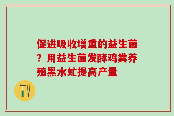 促进吸收增重的益生菌?用益生菌发酵鸡粪养殖黑水虻提高产量 促进吸收增重的益生菌?用益生菌发酵鸡粪养殖黑水虻提高产量