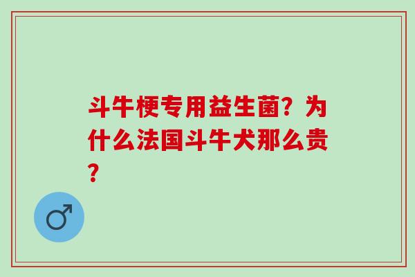 斗牛梗专用益生菌?为什么法国斗牛犬那么贵? 斗牛梗专用益生菌?为什么法国斗牛犬那么贵?