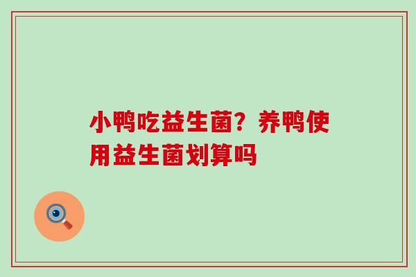 小鸭吃益生菌?养鸭使用益生菌划算吗 小鸭吃益生菌?养鸭使用益生菌划算吗