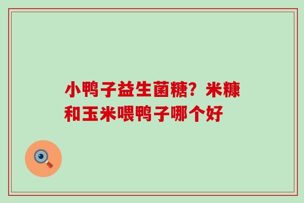 小鸭子益生菌糖?米糠和玉米喂鸭子哪个好 小鸭子益生菌糖?米糠和玉米喂鸭子哪个好