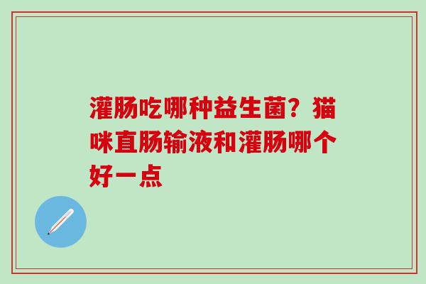 灌肠吃哪种益生菌?猫咪直肠输液和灌肠哪个好一点 灌肠吃哪种益生菌?猫咪直肠输液和灌肠哪个好一点