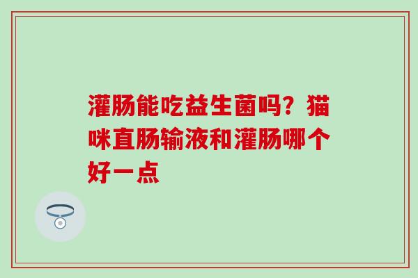 灌肠能吃益生菌吗？猫咪直肠输液和灌肠哪个好一点