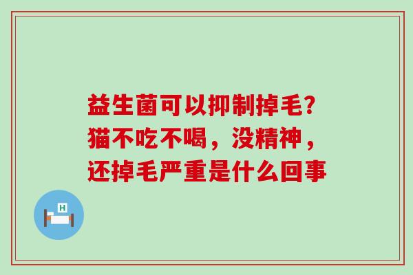 益生菌可以抑制掉毛?猫不吃不喝,没精神,还掉毛严重是什么回事 益生菌可以抑制掉毛?猫不吃不喝,没精神,还掉毛严重是什么回事