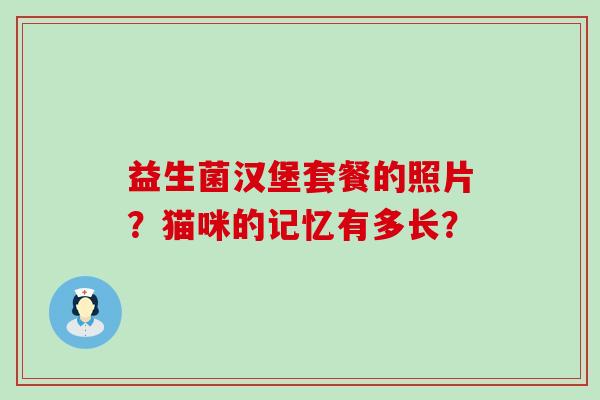益生菌汉堡套餐的照片?猫咪的记忆有多长? 益生菌汉堡套餐的照片?猫咪的记忆有多长?