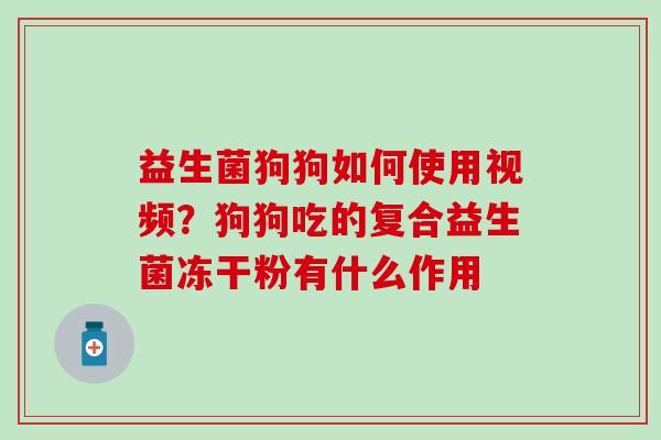 益生菌狗狗如何使用视频?狗狗吃的复合益生菌冻干粉有什么作用 益生菌狗狗如何使用视频?狗狗吃的复合益生菌冻干粉有什么作用