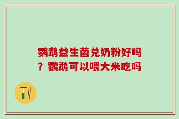鹦鹉益生菌兑奶粉好吗?鹦鹉可以喂大米吃吗 鹦鹉益生菌兑奶粉好吗?鹦鹉可以喂大米吃吗