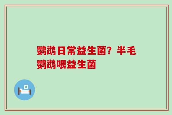 鹦鹉日常益生菌?半毛鹦鹉喂益生菌 鹦鹉日常益生菌?半毛鹦鹉喂益生菌