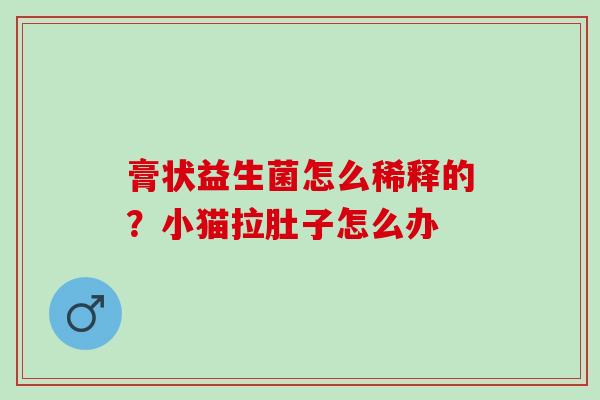 膏状益生菌怎么稀释的?小猫拉肚子怎么办 膏状益生菌怎么稀释的?小猫拉肚子怎么办