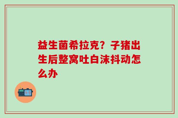 益生菌希拉克？子猪出生后整窝吐白沫抖动怎么办