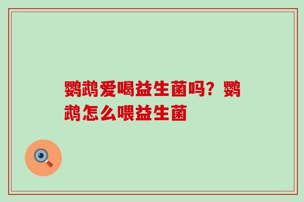 鹦鹉爱喝益生菌吗？鹦鹉怎么喂益生菌