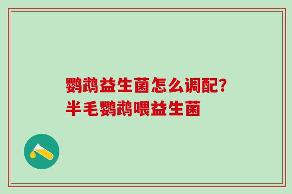 鹦鹉益生菌怎么调配?半毛鹦鹉喂益生菌 鹦鹉益生菌怎么调配?半毛鹦鹉喂益生菌