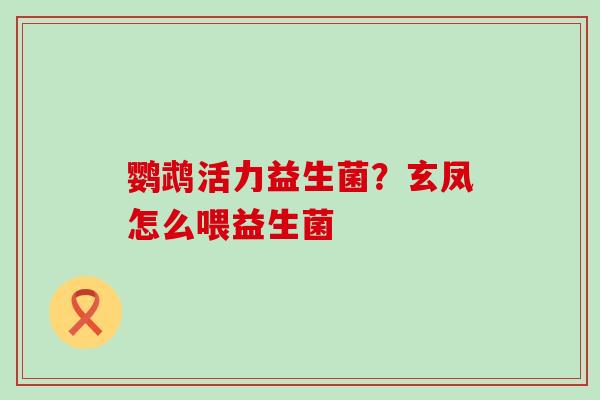 鹦鹉活力益生菌?玄凤怎么喂益生菌 鹦鹉活力益生菌?玄凤怎么喂益生菌