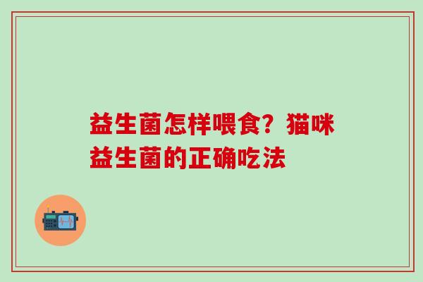 益生菌怎样喂食?猫咪益生菌的正确吃法 益生菌怎样喂食?猫咪益生菌的正确吃法