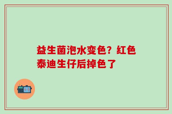 益生菌泡水变色?红色泰迪生仔后掉色了 益生菌泡水变色?红色泰迪生仔后掉色了