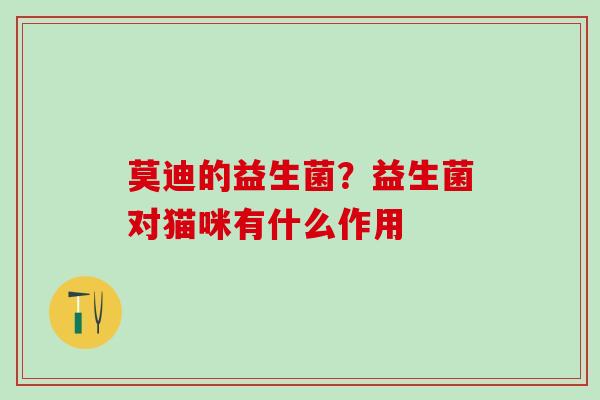 莫迪的益生菌?益生菌对猫咪有什么作用 莫迪的益生菌?益生菌对猫咪有什么作用