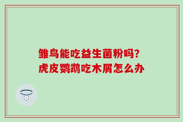 雏鸟能吃益生菌粉吗?虎皮鹦鹉吃木屑怎么办 雏鸟能吃益生菌粉吗?虎皮鹦鹉吃木屑怎么办