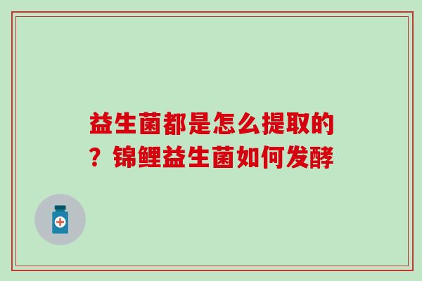 益生菌都是怎么提取的？锦鲤益生菌如何发酵