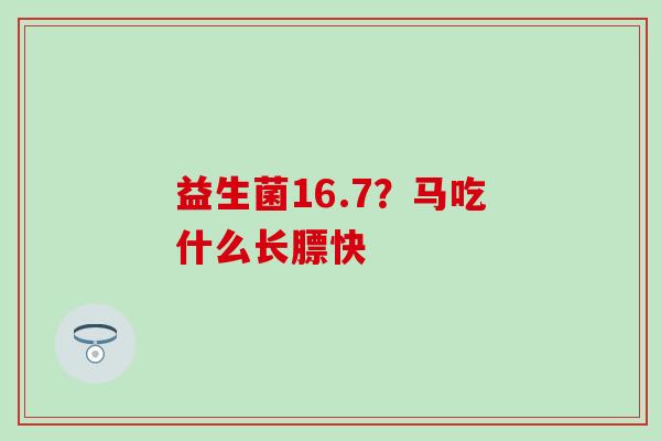 益生菌16.7?马吃什么长膘快 益生菌16.7?马吃什么长膘快