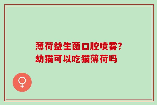 薄荷益生菌口腔喷雾?幼猫可以吃猫薄荷吗 薄荷益生菌口腔喷雾?幼猫可以吃猫薄荷吗