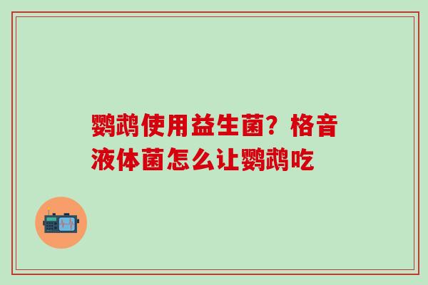 鹦鹉使用益生菌?格音液体菌怎么让鹦鹉吃 鹦鹉使用益生菌?格音液体菌怎么让鹦鹉吃