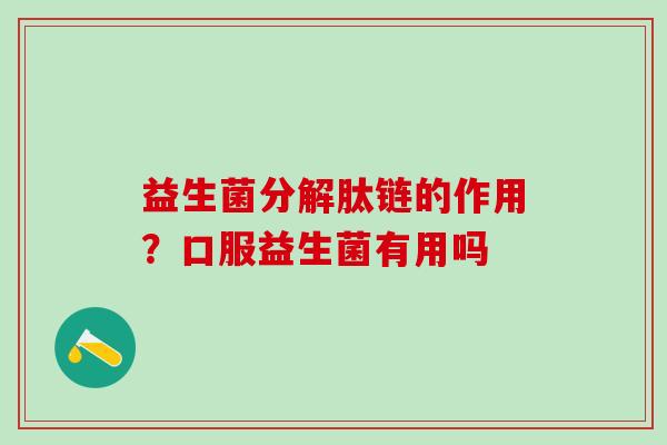 益生菌分解肽链的作用？口服益生菌有用吗