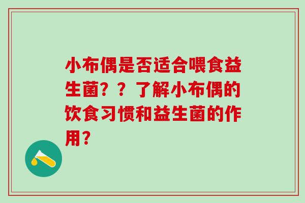 小布偶是否适合喂食益生菌？？了解小布偶的饮食习惯和益生菌的作用？