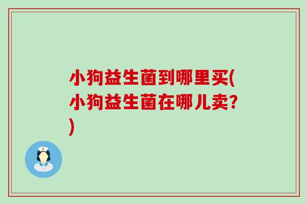 小狗益生菌到哪里买(小狗益生菌在哪儿卖？)