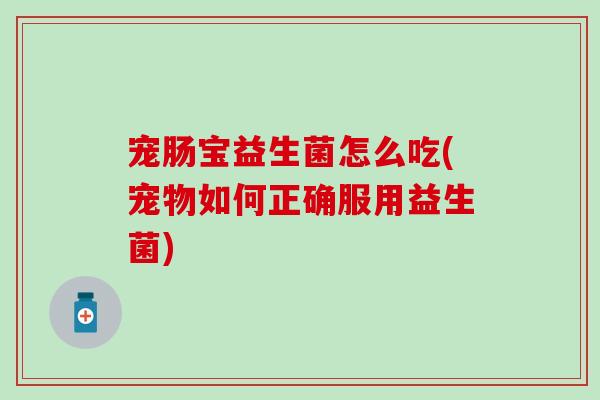 宠肠宝益生菌怎么吃(宠物如何正确服用益生菌)