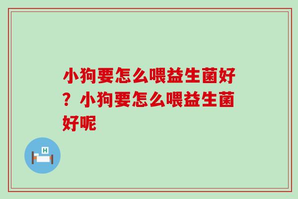 小狗要怎么喂益生菌好？小狗要怎么喂益生菌好呢