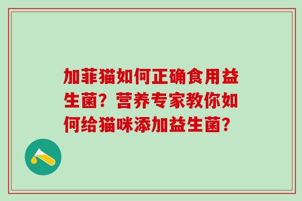 加菲猫如何正确食用益生菌？营养专家教你如何给猫咪添加益生菌？
