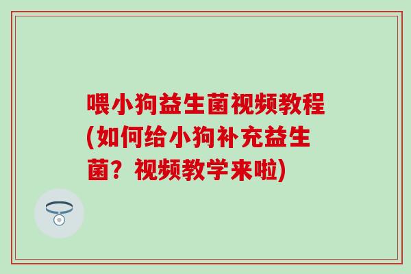 喂小狗益生菌视频教程(如何给小狗补充益生菌?视频教学来啦) 喂小狗益生菌视频教程(如何给小狗补充益生菌?视频教学来啦)