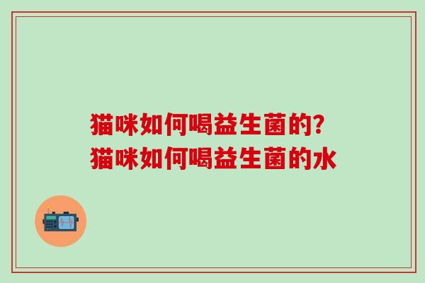 猫咪如何喝益生菌的?猫咪如何喝益生菌的水 猫咪如何喝益生菌的?猫咪如何喝益生菌的水