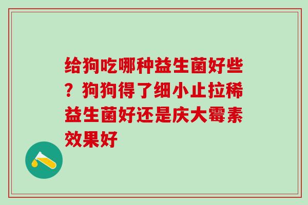 给狗吃哪种益生菌好些?狗狗得了细小止拉稀益生菌好还是庆大霉素效果好 给狗吃哪种益生菌好些?狗狗得了细小止拉稀益生菌好还是庆大霉素效果好