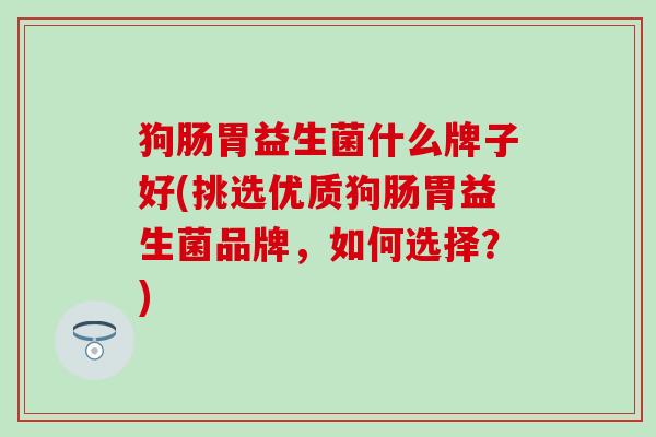 狗肠胃益生菌什么牌子好(挑选优质狗肠胃益生菌品牌，如何选择？)