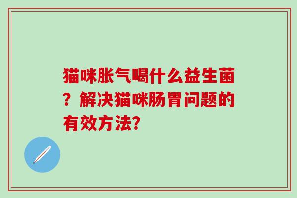 猫咪喝什么益生菌?解决猫咪肠胃问题的有效方法? 猫咪喝什么益生菌?解决猫咪肠胃问题的有效方法?
